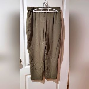 Zara green shine pant